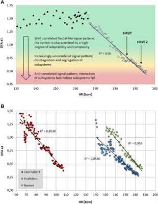 Fractal Correlation Properties of Heart Rate Variability as a Biomarker for Intensity Distribution and Training Prescription in Endurance Exercise: An Update